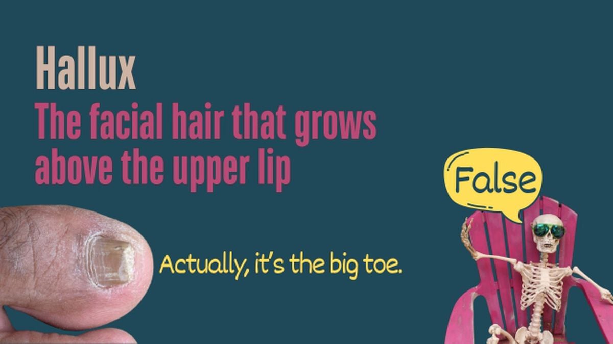 Weird Words: Skin and Bones Edition image number null